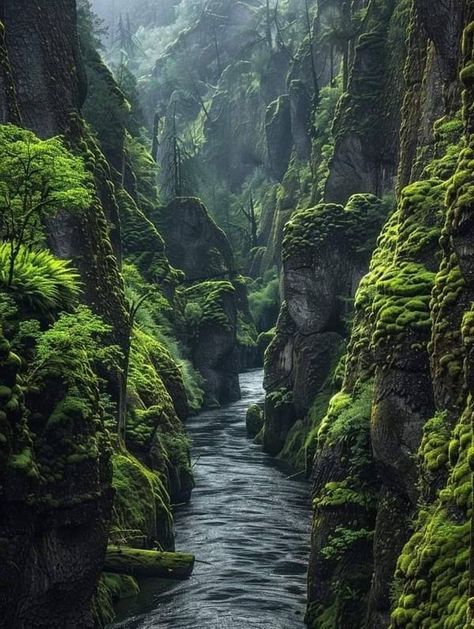 New River Gorge, Oregon Washington, Columbia River Gorge, Grain Of Sand, New River, Columbia River, Natural Wonders, Breathtaking Views, Beautiful Landscapes