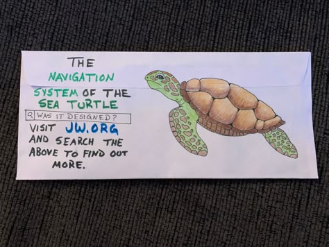 JW Letter Writing Envelope - Was It Designed? - The Navigation System of the Sea Turtle Jw Envelope Art, Was It Designed Jw, Jw Postcards, Letter Writing Jw, Jw Letters, Lettering Envelopes, Letter Writing Ideas, Letter Writing Examples, Letter Writing Samples