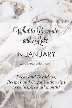 January Decor After Christmas, January Winter Decor, January Decorating Ideas, Diy Winter Decorations, January Home Decor Ideas, Winter Decor Diy, After Christmas Winter Decor, Diy Winter Decor, Simple Winter Decor