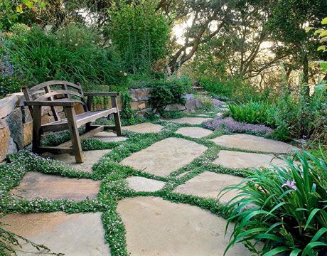 Thyme  Thyme blurs the lines between patio pavers    Read more: Ground Cover Flowers - Low Growing Flowers - Country Living Ground Cover Flowers, Flagstone Patio, Video Garden, Garden Ideas Cheap, Stone Walkway, Ground Cover Plants, Have Inspiration, Garden Pictures, Landscaping Tips