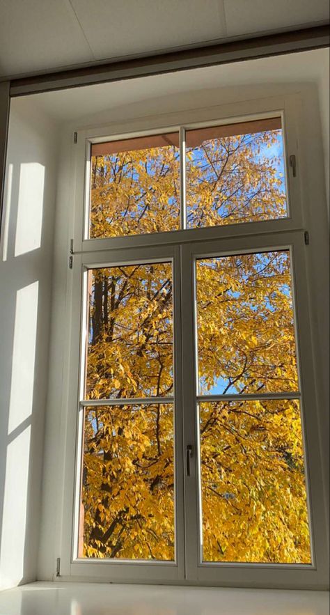 autumn | fall | leaves | orange leaves | downtown girl | aesthetic | white | 🍁 Fall Leaves Through Window, Fall White Aesthetic, Minimal Fall Aesthetic, Fall Yellow Aesthetic, Bright Autumn Aesthetic, Light Blue Fall Aesthetic, Light Fall Wallpaper, Bright Fall Aesthetic, White Autumn Aesthetic