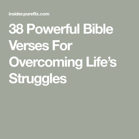 Philippians 4 12, New Testament Bible, The Fruit Of The Spirit, Psalm 27, Overcome The World, Powerful Bible Verses, Encouraging Bible Verses, I Know The Plans, Be Strong And Courageous