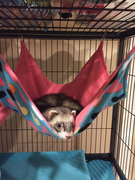 Multicolor Hearts Fleece Hammock, Custom Sizing, Square Flat Hammock for Ferrets, Chinchillas, Rats, Ferret Hammock, Ferret Nation Cage, Pet Hammock, Guinea Pig Toys, Sugar Gliders, Reptile Cage, Guinea Pig Care, Reptile Enclosure, Guinea Pig Cage