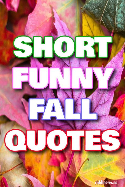 These quotes playfully celebrate the arrival of fall with references to pumpkin spice, falling leaves and the beauty of change. Fall Quotes Funny Humor, Fall Quotes For Instagram, Pumpkin Spice Quotes, Funny Fall Quotes, Quotes Funny Humor, Pumpkin Quotes, Leaf Quotes, Leaving Quotes, Autumn Spirit