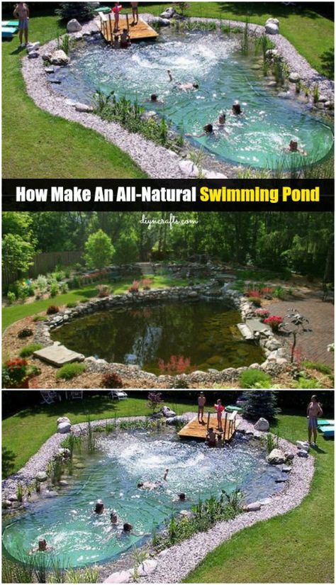 Old Swimming Pool, Swimming Pool Pond, Taman Air, Natural Swimming Ponds, Diy Pond, Diy Swimming Pool, Family Pool, Swimming Pond, Swimming Pools Inground