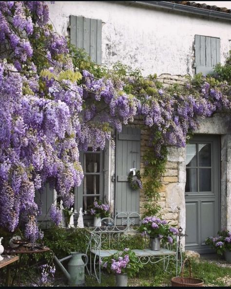 Purple Cottage, Painted Boots, Lilac Tree, Purple Spring, Purple Garden, Gray Aesthetic, Modern Barn, Pretty Purple, Lilac Flowers