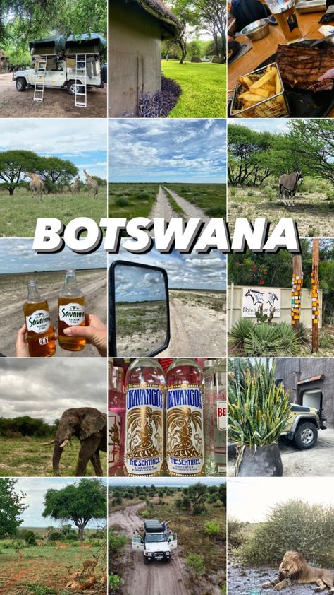 botswana, botswana africa, francis town, safari in africa, safari botswana, travel destinations, travel in africa, best destinations africa Safari Botswana, Group Of Lions, Travel In Africa, Botswana Travel, Safari In Africa, Countries In Africa, Botswana Safari, Okavango Delta, Destinations Travel