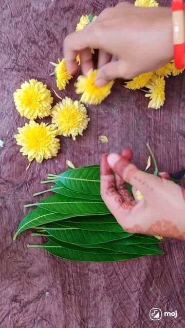 Mango Leaf, Mango Leaves, Pooja Decor, Decorative Ideas, Leaf Flowers, Festival Decorations, Flower Decorations, Plant Leaves, Mango