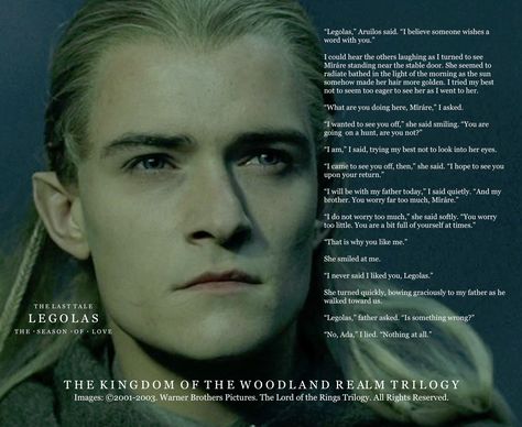 Legolas Imagine Love, Legolas X Reader, Woodland Realm, Legolas And Thranduil, Self Care Bullet Journal, Orlando Bloom, Wattpad Stories, Thranduil, The Kings