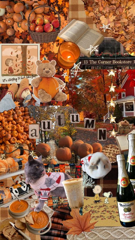 Fall Preppy Wallpaper, Fall Themed Wallpapers, Aesthetic Autumn Wallpapers, Fall Backrounds, Spooky Season Wallpaper, Thanksgiving Collage, Aesthetic October, Preppy Autumn, Fall Core