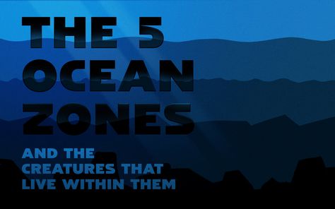 The 5 Ocean Zones And The Creatures That Live Within Them Ocean Zones, Vampire Squid, Ocean Trench, The Twilight Zone, 5 Oceans, Marianas Trench, Into The Abyss, Sea Dweller, The Abyss