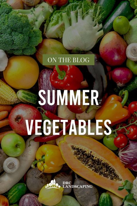 There is nothing like fresh vegetables from your own backyard! If you’re looking to start your garden, check out our blog on the perfect vegetables for your Northern Nevada garden. #landscapedesign #outdoorlandscaping #patios #patiodesign #luxurylandscaping #highendlandscaping #northernevadarealestate #realestatereno #realestatetahoe #backyardideas #landscapingideas#landscapedesign #outdoorlandscaping #patios #patiodesign #luxurylandscaping #highendlandscaping #northernevadarealestate Prepare For Summer, Northern Nevada, Summer Vegetables, Luxury Landscaping, Summer Vegetable, Outdoor Landscaping, Fresh Vegetables, Patio Design, Nevada