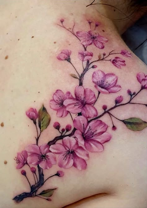 Cherry Blossom Tattoo Shoulder, Cherry Blossom Tattoos, Sakura Tattoo, Cherry Tattoos, Flower Tattoo Ideas, Tattoo Shoulder, Anklet Tattoos, Tattoos For Women Flowers, Flower Tattoo Shoulder