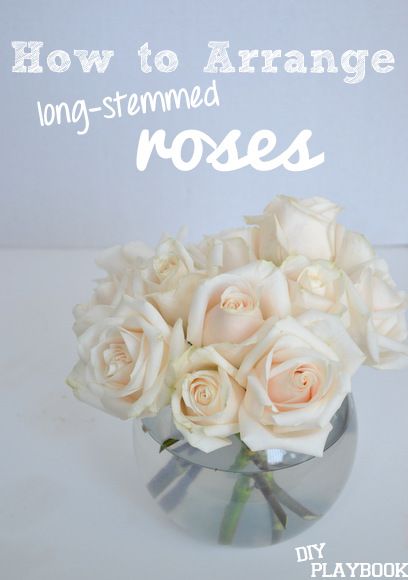 How to Arrange Long-Stemmed Roses in a rounded vase. #flowers, diy floral arrangements Flowers Arrangements Diy, Rounded Vase, Diy Playbook, Vase Flowers, Most Popular Flowers, Rose Centerpieces, Diy Arrangements, Diy Roses, Floral Arrangements Diy