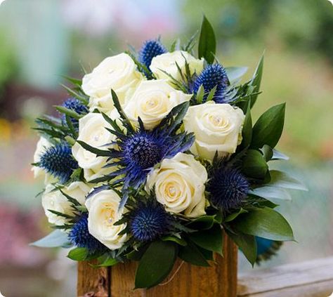 Thistle Wedding Flowers, Thistle Color, June Wedding Flowers, Wedding Flowers Blue, Thistle Boutonniere, Thistle Bouquet, Thistle Wedding, Navy Wedding Flowers, Blue Thistle