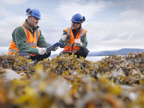 Working Outside, Field Work, Apply Job, Outdoor Jobs, Green Jobs, Environmental Scientist, Wildlife Biologist, Environmental Problem, Jobs For Women