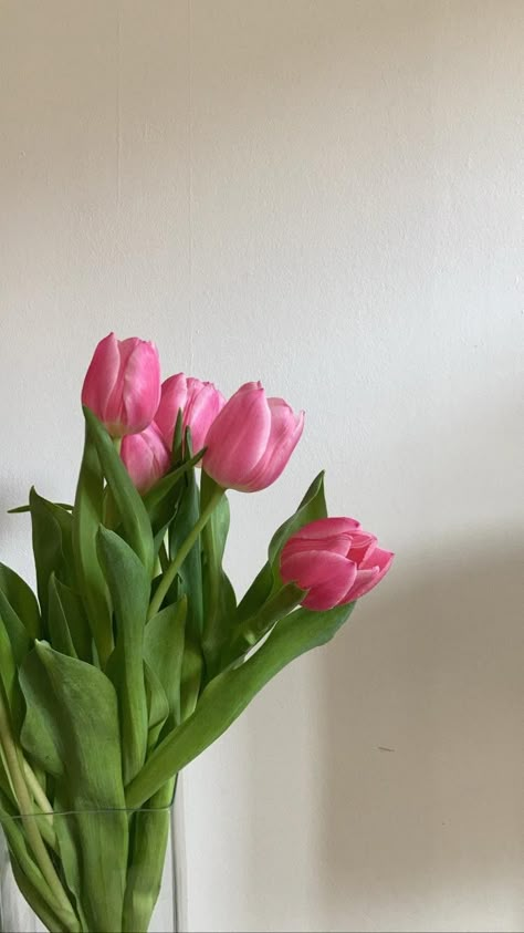 Pink tulips | Bouquet | Spring | Flower aesthetic | French aesthetic | Spring aesthetic | Cottagecore aesthetic Tulips Bouquet, French Aesthetic, Aesthetic Cottagecore, Aesthetic Spring, Cottagecore Aesthetic, Spring Aesthetic, Pink Tulips, Spring Flower, Tulips