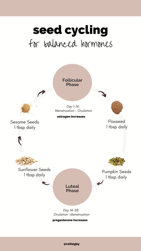 The Ultimate Guide To Seed Cycling For Hormone Balance - Caitey Jay Seed Cycle, Cycle Chart, Hormone Nutrition, Estrogen And Progesterone, Hormone Imbalance Symptoms, Seed Cycling, Progesterone Levels, Good Skin Tips, Happy Hormones