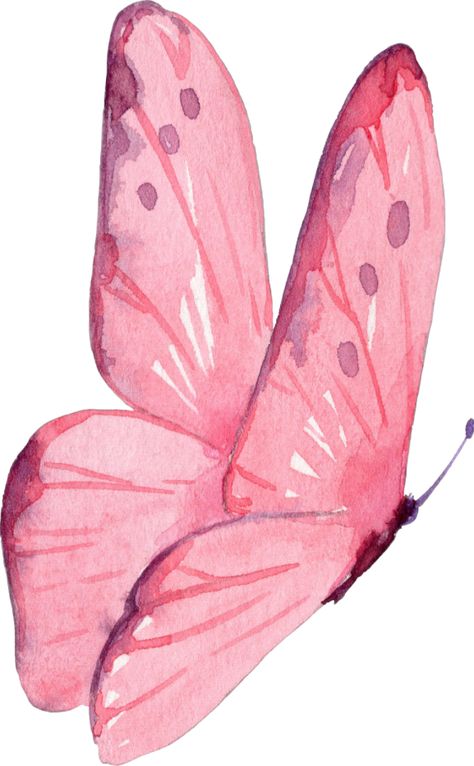 Butterfly Watercolor Painting, Painting Clipart, Coquette Wall Art, Pretty Wallpaper Ipad, Flying Butterfly, Watercolor Butterfly, Simple Butterfly, Scrapbook Printing, Butterfly Clip Art