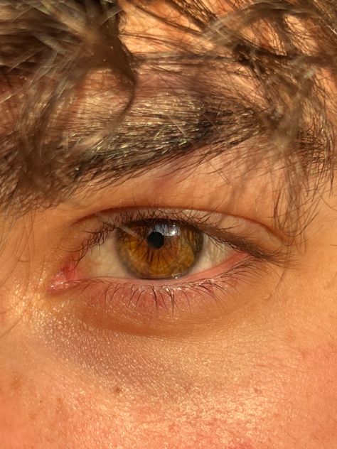 Brown Hair Brown Eyes Guy, Hazelnut Eyes, Dark Hazel Eyes, Pretty Eyes Color, Green Brown Eyes, Hazel Brown Eyes, Honey Eyes, Brown Eyes Aesthetic, Brown Eye Boys