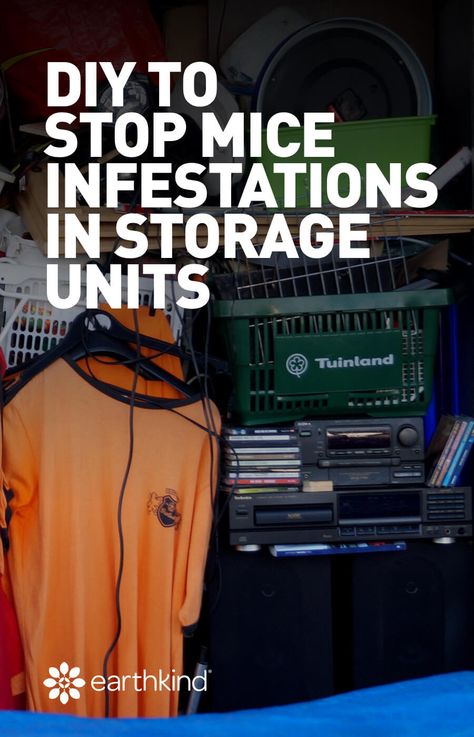 When we store away our belongings, we expect them to be safe and damage free until the next time they are needed. Sometimes we end up with an unpleasant surprise when we go to retrieve our stored goods though. Pests love to infest undisturbed places that provide protection from the elements; places like storage units, sheds, basements, attics and garages.  #rodents #storage #protect #pestprevention Mice Infestation, Outdoor Storage Units, Moving Help, Dorm Shopping, Pest Prevention, Animals Aesthetic, Suitcase Storage, Storage Totes, Best Pest Control