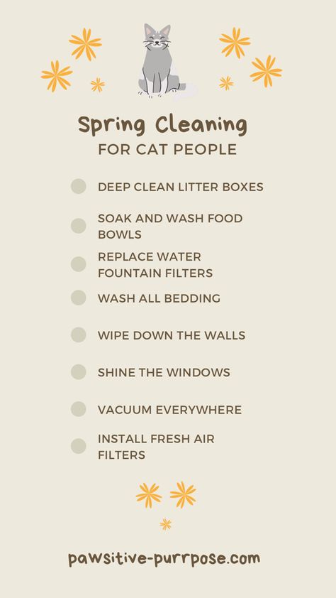 Checklist for spring cleaning for cat people Cat Cleaning Tips House, Take Care Of Cat, Must Have Cat Items, Cat Routine Schedule, How To Take Care Of Cats, Cat Needs List, Kitten Must Haves, Cat Cleaning House, Cat Routine