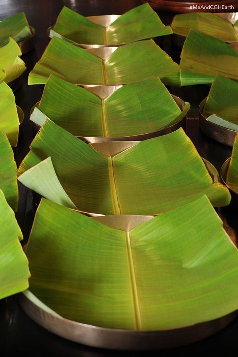 Banana Leaves Decoration, Engagement Food, Restaurant Board, Banana Leaf Plates, Ayurveda Hospital, Plate Setting, Leaf Plate, Ayurvedic Healing, Sacred Plant