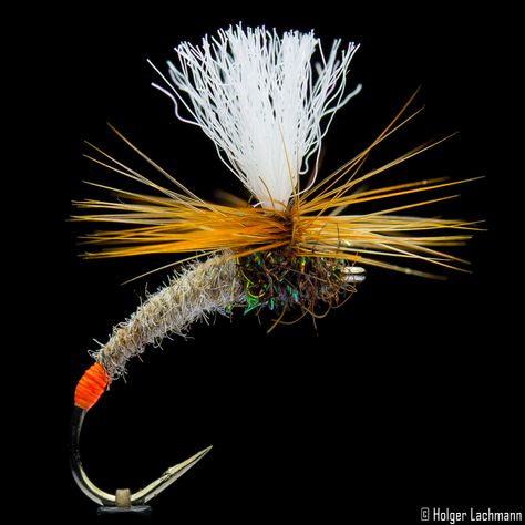 Fishing Basics, Fly Casting, Trout Fishing Tips, Fly Fishing Flies Pattern, Salt Water Fishing, Fly Fishing Tips, Fly Fishing Gear, Fly Fisherman, Fly Fishing Flies Trout