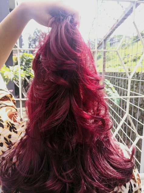 mix between brown reddish pink violet hair color with natural sun light in the morning Pink Violet Hair Color, Pink Violet Hair, Violet Hair Color, Violet Hair Colors, Violet Hair, Sun Light, Dragon Fruit, In The Morning, The Morning