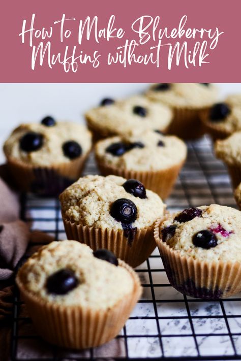 Rich blueberry flavor of these muffins, crafted to perfection without milk. A dairy-free delight that promises a taste experience like no other. Muffin Recipes Without Milk, No Milk Muffins, Blueberry Muffins No Milk, Blueberry Muffins Without Milk, Muffins Without Milk, Blueberry Chocolate Chip Muffins, Dairy Free Blueberry Muffins, Low Sugar Muffins, Moist Blueberry Muffins