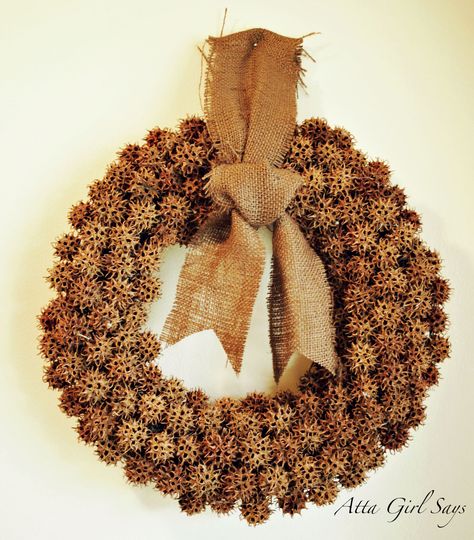 completed gumball wreath - might be able to put the 20 some sweet gum trees in my yard to use. :o) Gumball Crafts, Sweet Gum Tree Crafts, Sweetgum Balls, Sweet Gum Tree, Chevron Burlap Wreaths, Straw Wreath, Sweet Gum, Ball Wreath, Pinecone Crafts