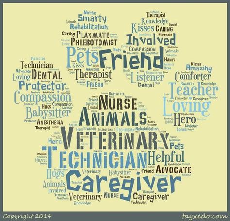 Veterinary Technician Week, Vet Tech School, Veterinary Tech, Staff Appreciation Gifts, Horse Care Tips, Vet Assistant, Vet School, Feeling Under The Weather, Vet Med