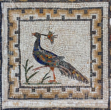 A peacock, Roman mosaic of the birds in Italica (Santiponce), Seville, Spain Roman Drawings, Antique Mosaic, Roman Reigns Logo, Project Paper, Mosaic Portrait, Roman Numbers, Sevilla Spain, Mosaic Birds, Roman Gods