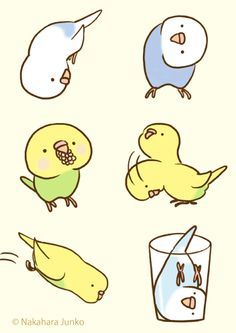 "Budgies Fickle" LINE Sttickers from http://line.me/S/sticker/1085043 Budgies Bird, Funny Parrots, Images Kawaii, Funny Birds, Bird Drawings, Cute Little Drawings, Cute Birds, Cute Animal Drawings, Kawaii Drawings