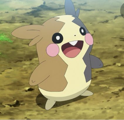 Morpeko Icon, Cute Pokemon Pfp, Reaction Icons, Pokemon Screencaps, Pokemon Pfp, Mini Plushies, Pokemon Screenshots, Anime Widget, Pokemon Icon