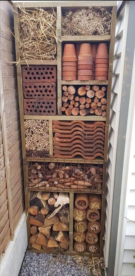 Dream House Garden, Bee Hotel, Bug Hotel, Mason Bees, Insect Hotel, Garden Bugs, Garden Insects, Bee Friendly, Wildlife Gardening