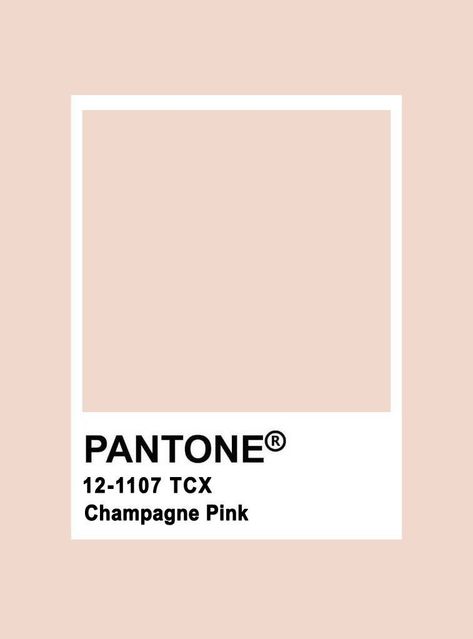 Champagne Color Palette, Pink Pantone, Blush Color Palette, Pantone Palette, Pantone Colour Palettes, Bedroom Colour Palette, Champagne Pink, How To Apply Blush, Green Color Schemes