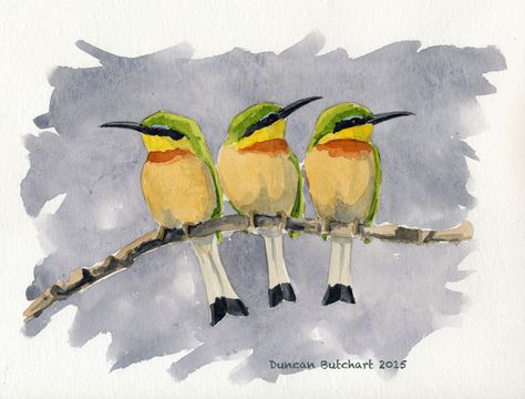 Little Bee-eaters (Merops pusillus), Maun, Botswana. Bee Eater, Watercolor Sketch, Bird Illustration, Watercolor Animals, Bird Feathers, Bird Art, Art Gallery, Birds, Art Painting