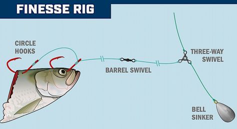 Catfishing Rigs, Catfishing Tips, Catfish Rig Setup, Fish Infographic, Catfish Rigs, How To Catch Catfish, Fishing Hook Knots, Catfish Bait, Catfish Fishing