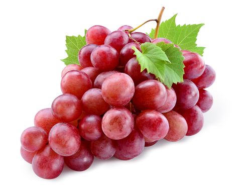 Grape Seed Extract is one of our 9 clinically studied ingredients. Grape seeds are rich in antioxidants, including phenolic acids, anthocyanins, flavonoids, and oligomeric proanthocyanidin complexes. Studies show that grape seed extract supports numerous cardiovascular benefits and can aid in wound healing.*  • Supports healthy circulation* • Helps maintain healthy cholesterol* • Protects blood vessels* • Powerful antioxidant helps safeguard cells*  Learn more at www.regenafin.com/ingredients Cotton Candy Grapes, Giant Food, Growing Grapes, Grape Seed Extract, Grape Bunch, Purple Grapes, Red Grapes, Organic Fruit, Heart Candy