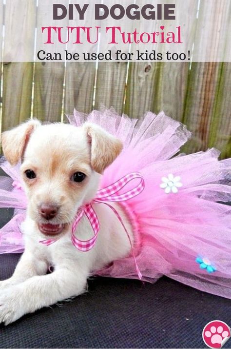 Learn how to make a tutu for your furbaby with this step by step  DIY: Doggie Tutu Tutorial. You can you use this tutorial to make a kid's tutu too.  www.thisolemom.com  #pets #puppy #dogs #tutu #tutuskirt #diy #crafts #tulle #tulleskirt Puppy Dress Up, Diy Pet Costumes, Pet Costumes For Dogs, Tutu Diy, Costumes For Dogs, Dog Tutu Dress, Tutu Tutorial, Dog Tutu, Diy Tutu