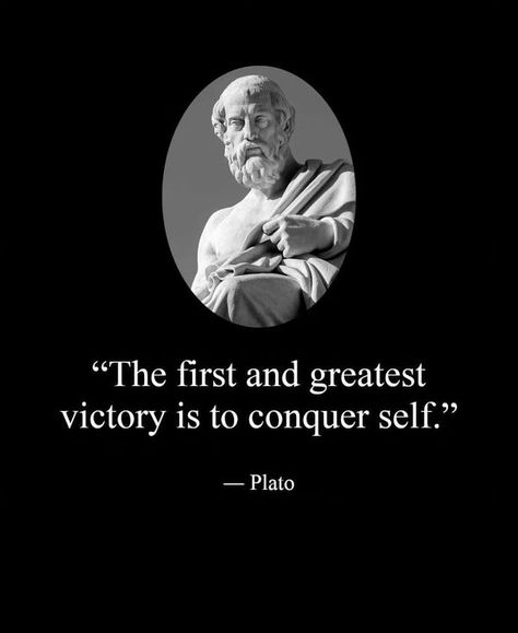 The Stoicism Digest | @- @Philosophy | Facebook Knowledgeable Quotes, Socrates Quotes, Terence Mckenna, Mental Health Advocacy, Richard Feynman, Inner Power, Knowledge Quotes, Socrates, Greek Quotes