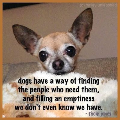 Dog Heaven Quotes, Chihuahua Quotes, Dog Poems, Chihuahua Art, Chihuahua Funny, Until We Meet Again, Chihuahua Mom, Dog Quotes Love, Chihuahua Lover