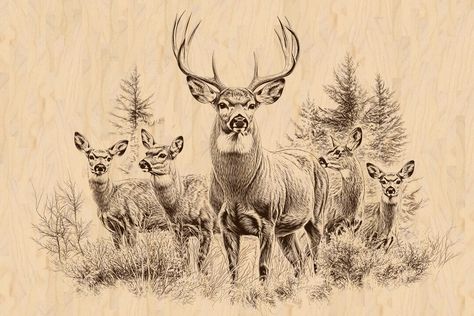 Pyrography Animals, Deer Drawings, Scene Png, Deer Scene, Stickers Quotes, Hunting Tattoos, Forest Artwork, Buck And Doe, Whitetail Bucks