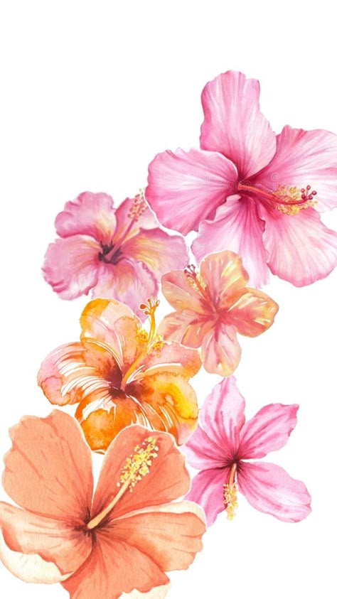 Cute Hibiscus Wallpaper, Wallpaper Backgrounds Hibiscus, Pink Summer Iphone Wallpaper, Summer Flower Wallpaper Iphone, Yellow Hibiscus Wallpaper, Habisquis Flower Wallpaper, Cute Flower Wallpaper Iphone, Hibiscus Wallpaper Iphone, Wallpaper Hibiscus Flower