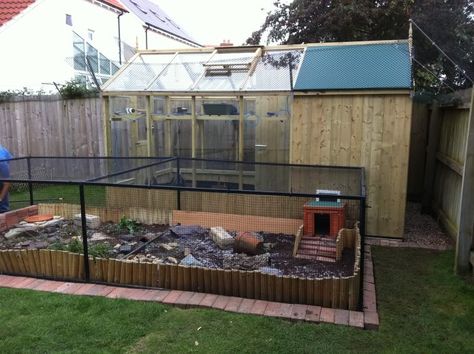 Tortoise Outdoor Enclosure Information - Page 16 - Reptile Forums                                                                                                                                                      More Outdoor Tortoise Enclosure, Turtle Enclosure, Pet Tortoise, Russian Tortoise Diet, Tortoise Diet, Outdoor Enclosure, Animal Enclosures, Tortoise House, Tortoise Table