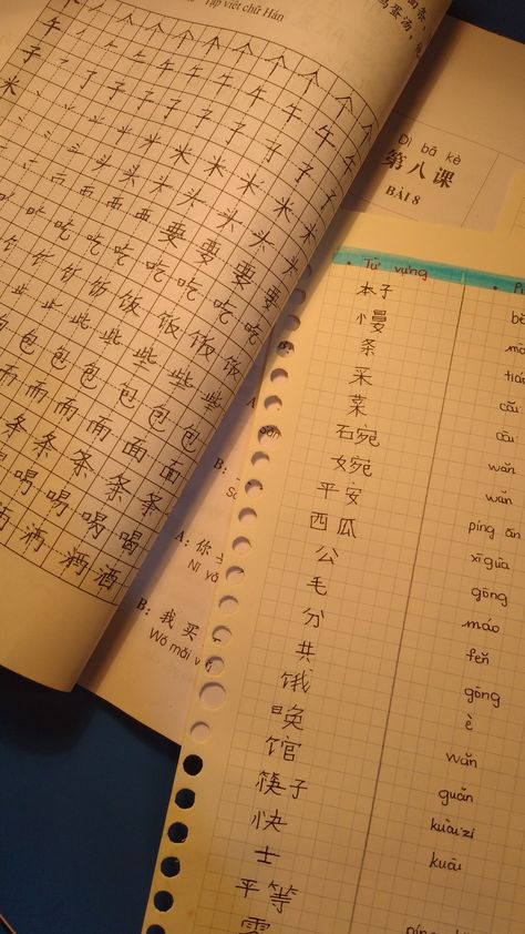 Mandarin Language Aesthetic, Learning Chinese Aesthetic, Chinese Language Aesthetic, Mandarin Aesthetic, Language Aesthetic, Chinese Handwriting, Study Chinese, Sign Language Chart, Learn Chinese Characters