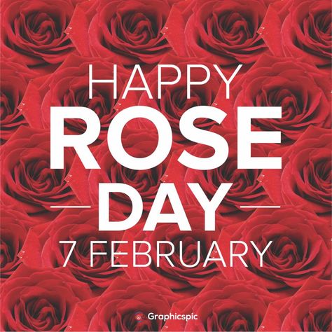 7 February Rose Day, Rose Day Pic, Happy Rose Day, Rose Day, Happy February, This Is The Day, Portraits Art, Animal Portraits Art, Animal Portraits