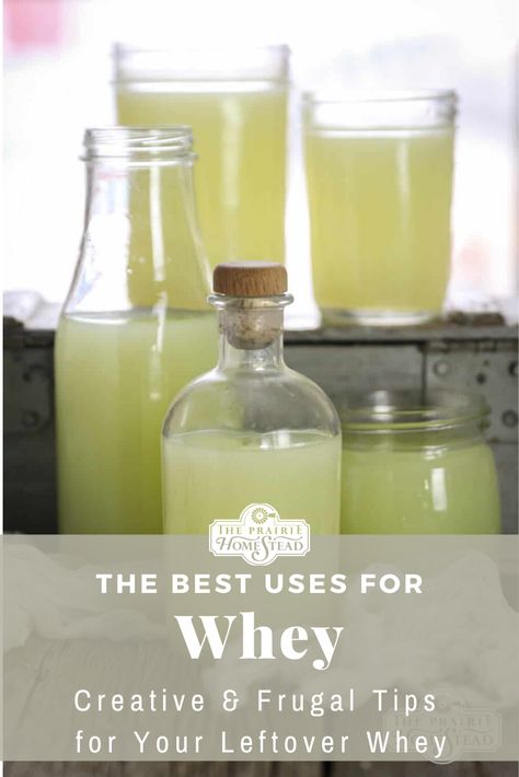 Uses For Whey, Homesteader Recipes, Homestead Food, Homemade Staples, Whey Recipes, Homestead Cooking, The Prairie Homestead, Cheese Press, Cheese Recipes Homemade