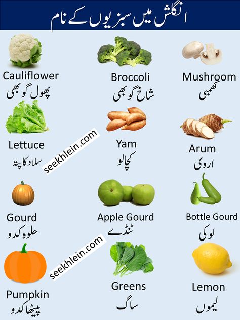 Urdu Writing, Urdu Vocabulary, Basic English Grammar Book, Simple English Sentences, Cauliflower Mushroom, Mushroom Broccoli, Learning Vocabulary, English Meaning, Study Chemistry